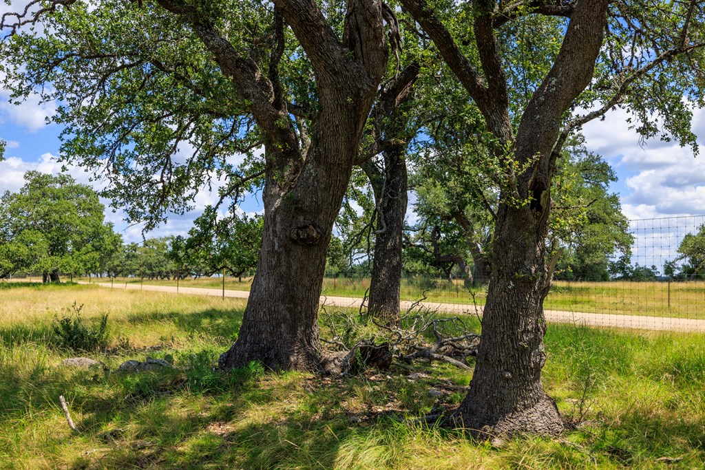 Lot 88 Stock Pond Dr