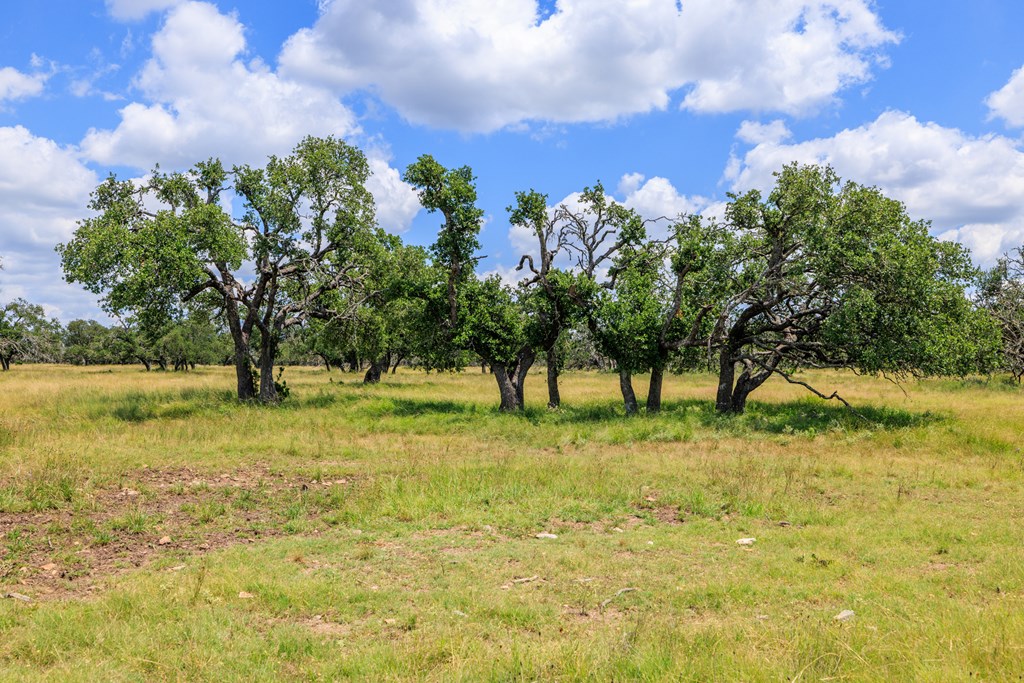 Lot 88 Stock Pond Dr