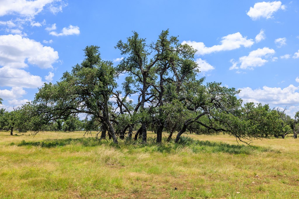 Lot 88 Stock Pond Dr