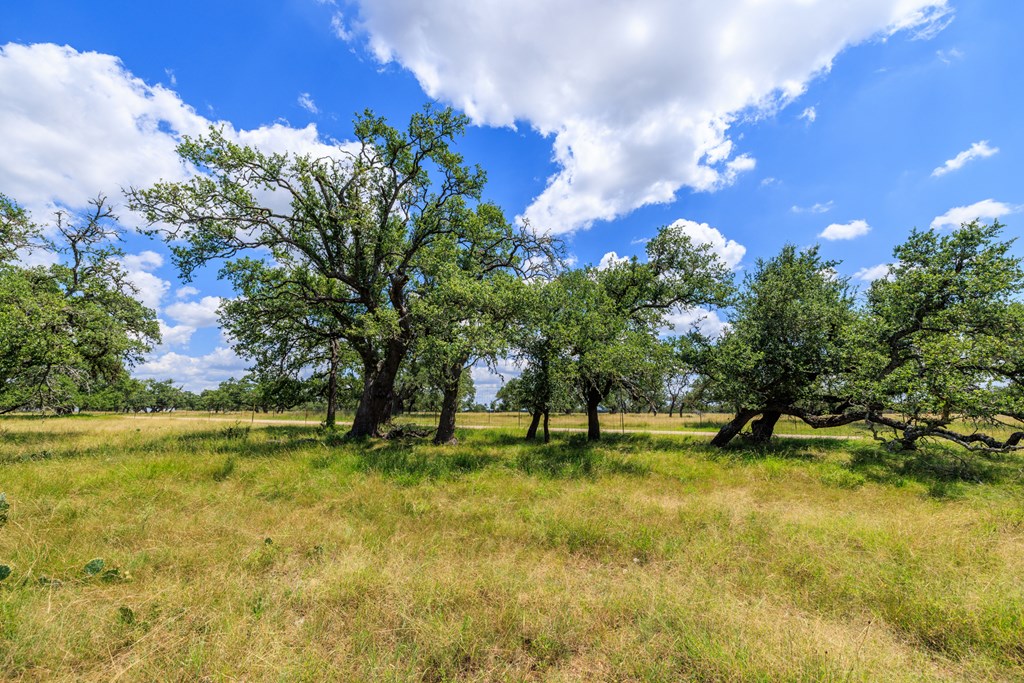 Lot 88 Stock Pond Dr