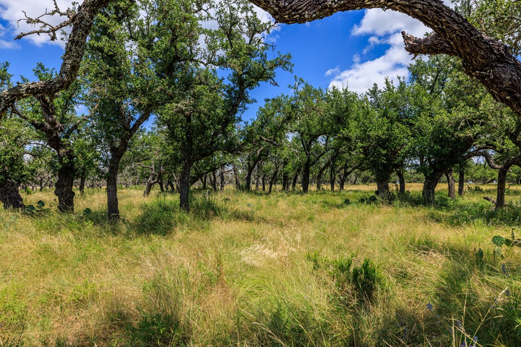 Lot 88 Stock Pond Dr