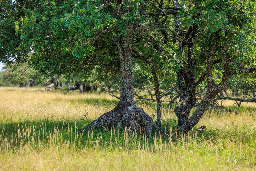 Lot 88 Stock Pond Dr