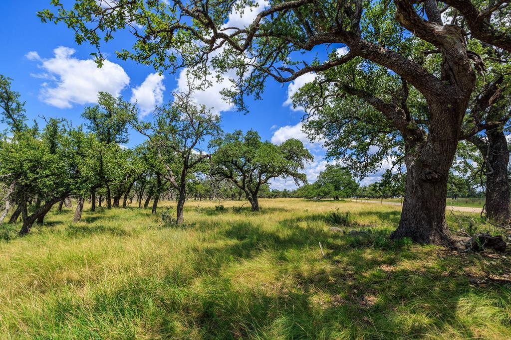 Lot 88 Stock Pond Dr