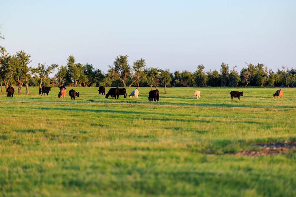 14087 Ranch Rd 965