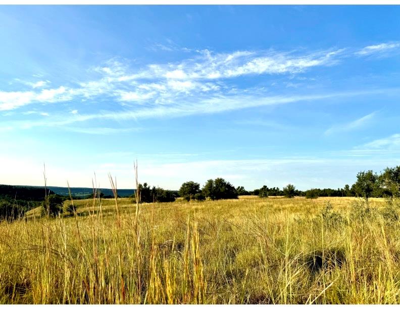 14087 Ranch Rd 965