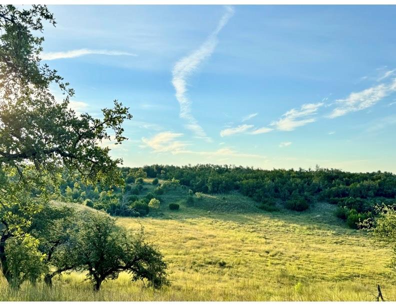 14087 Ranch Rd 965