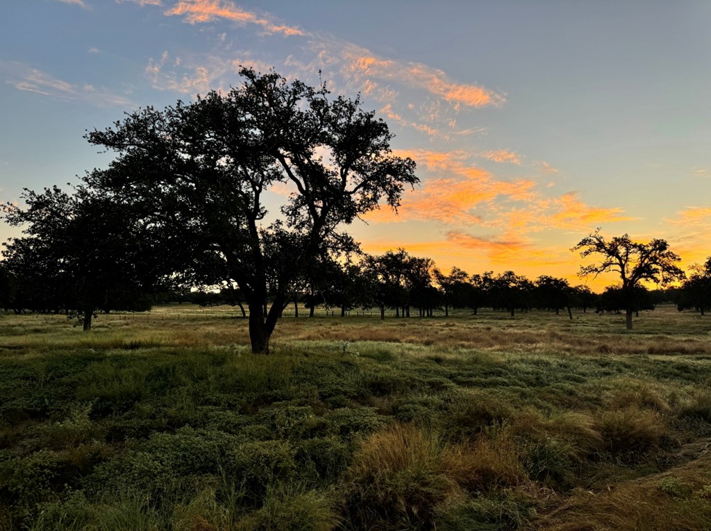 000 Silas Trail