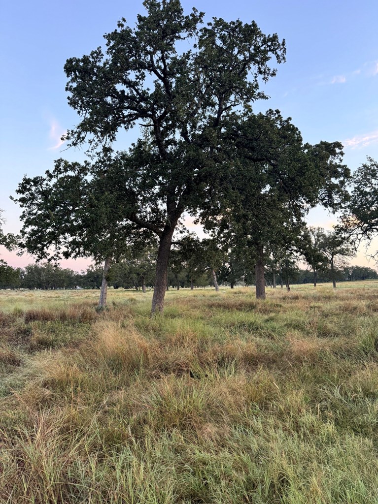 5-- Silas Trail
