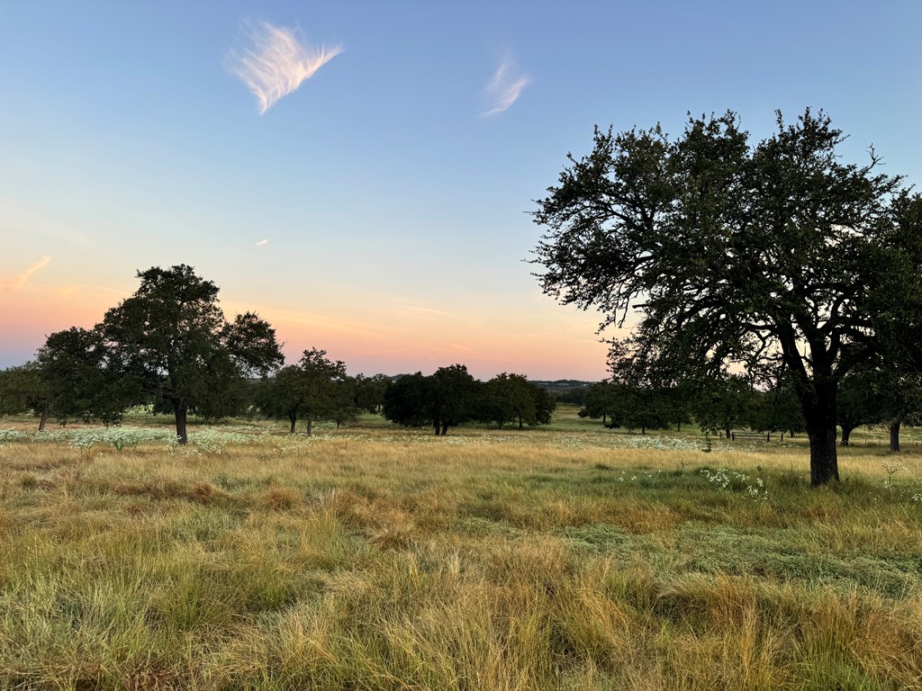 6-- Silas Trail