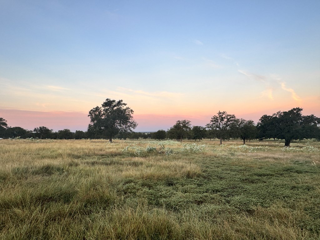 6-- Silas Trail