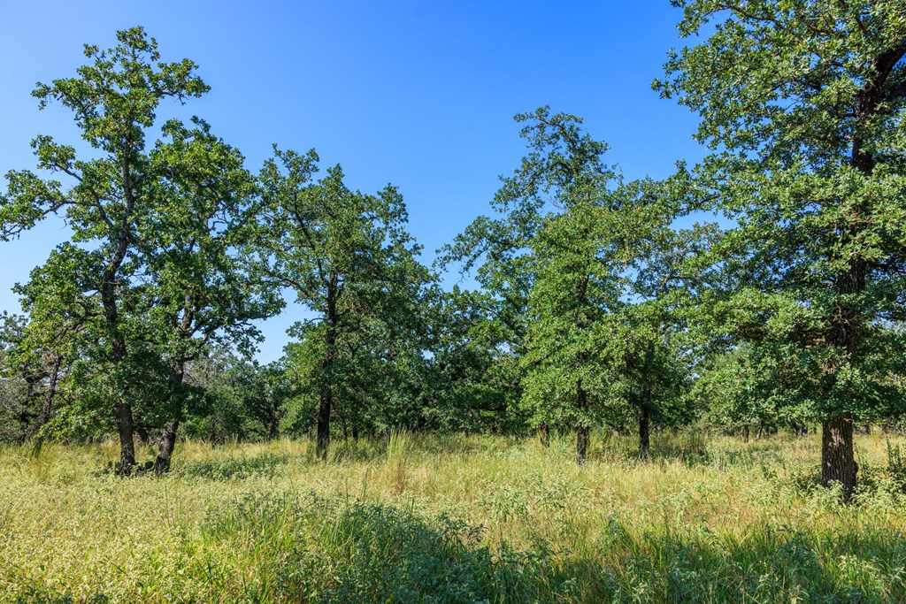 560 Mystic Oaks Trail # 10