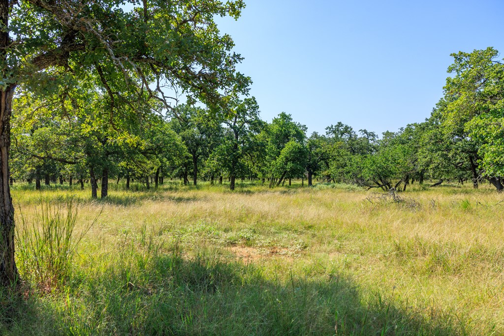 560 Mystic Oaks Trail # 10