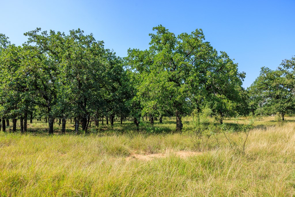 560 Mystic Oaks Trail # 10