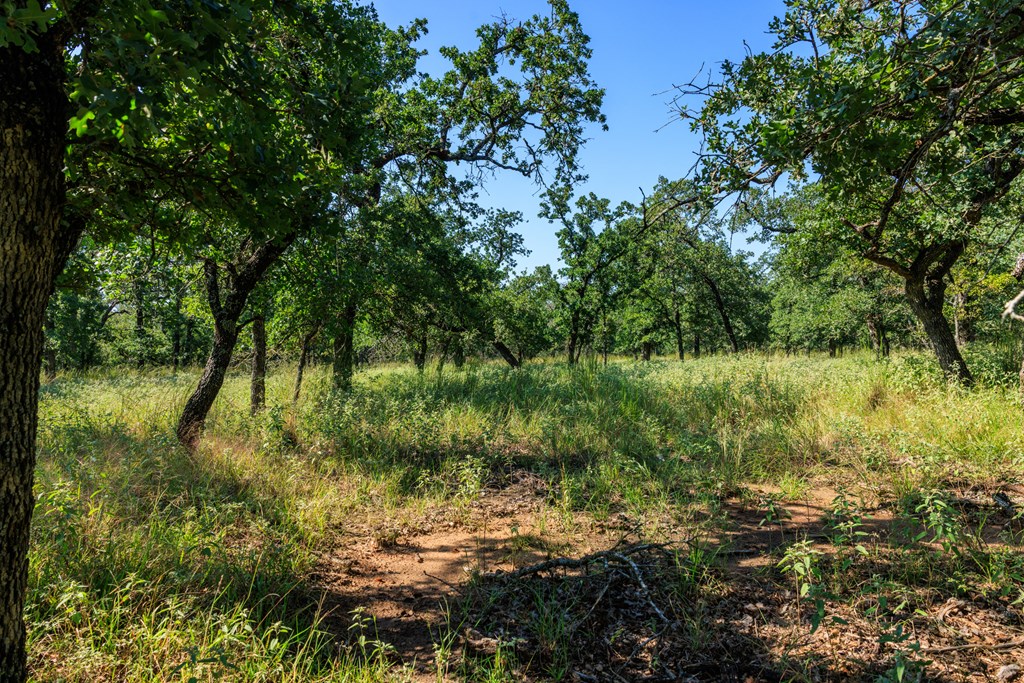 560 Mystic Oaks Trail # 10