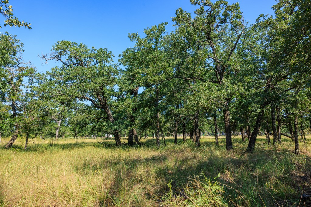 560 Mystic Oaks Trail # 10