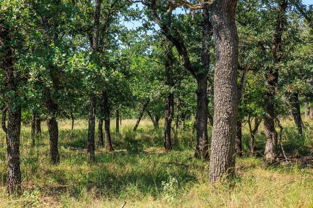 560 Mystic Oaks Trail # 10