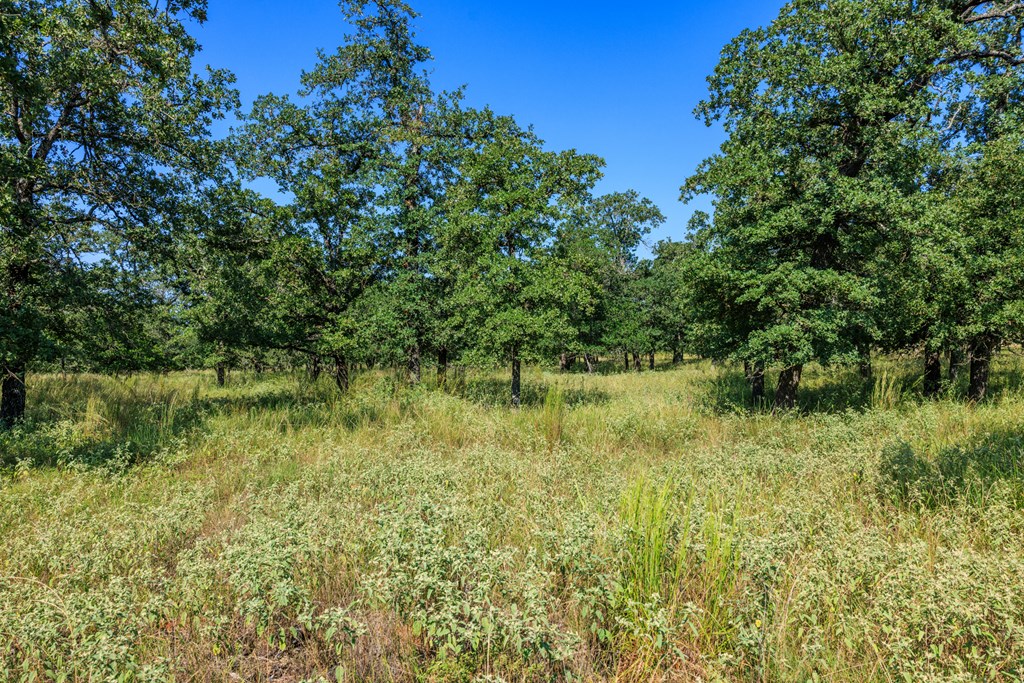 560 Mystic Oaks Trail # 10