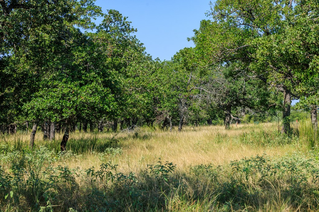 560 Mystic Oaks Trail # 10