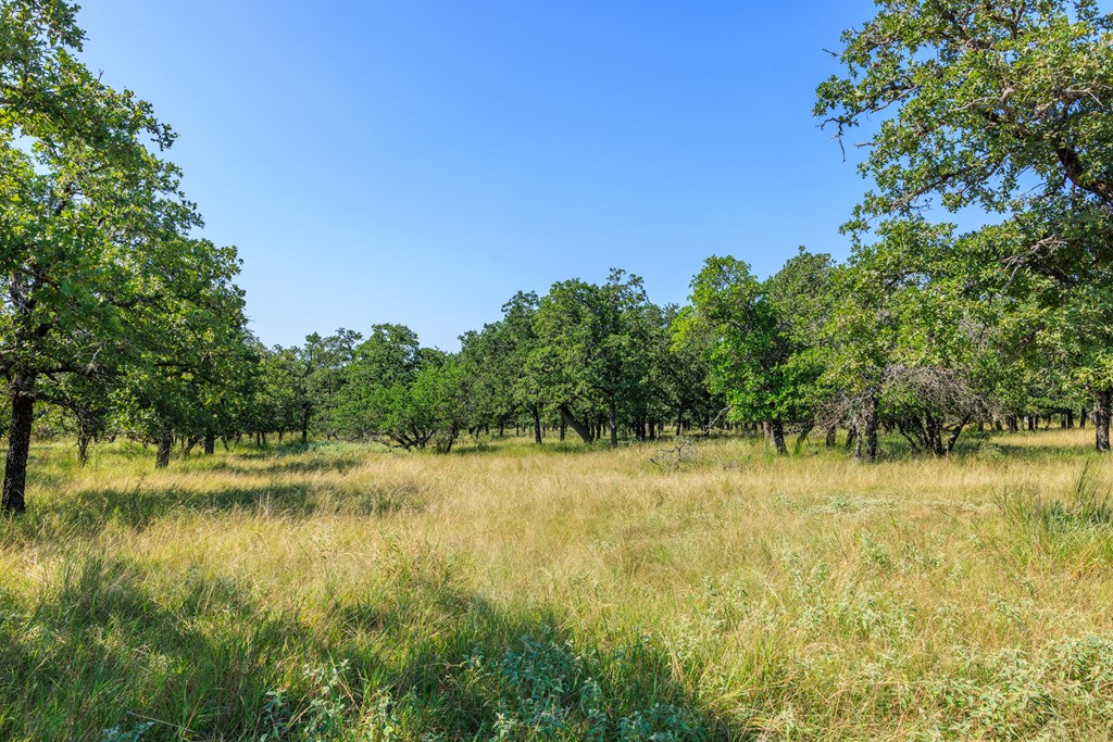 560 Mystic Oaks Trail # 10