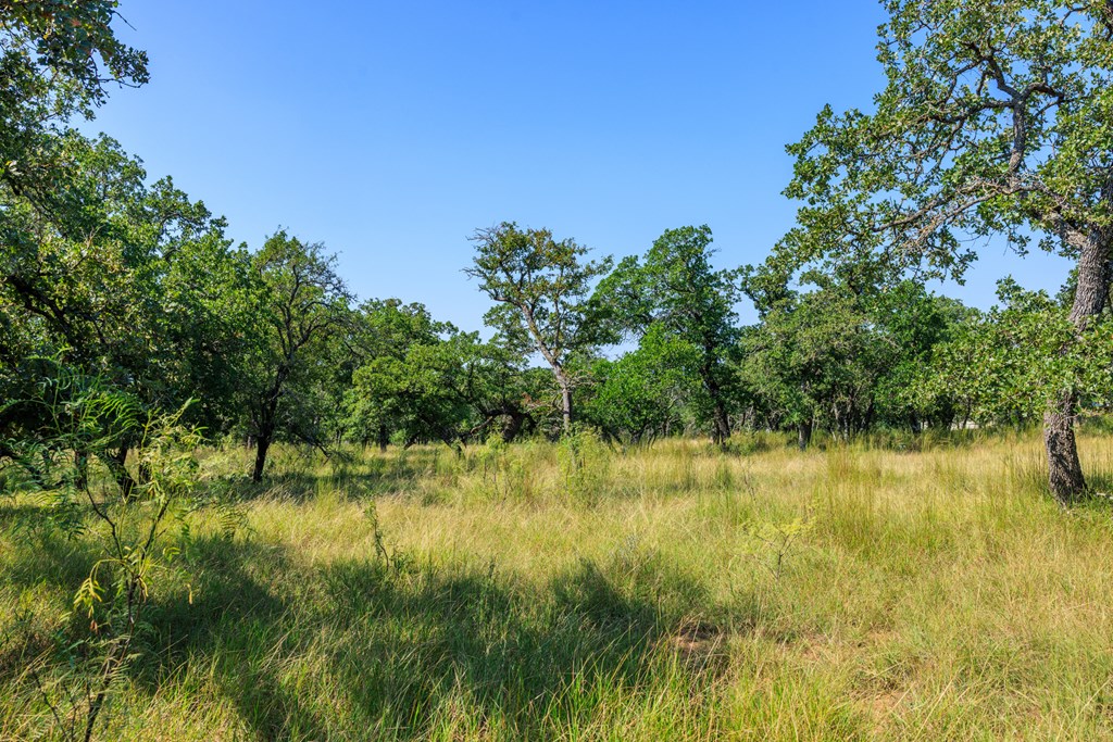 560 Mystic Oaks Trail # 10