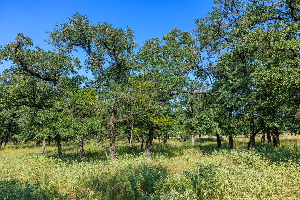 Lot 9 Mystic Oaks Trail # 9