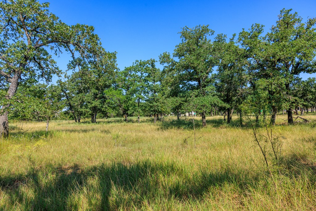 Lot 9 Mystic Oaks Trail # 9