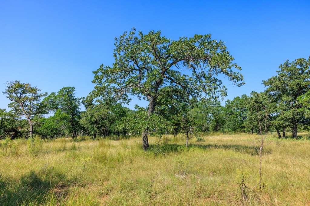 Lot 9 Mystic Oaks Trail # 9