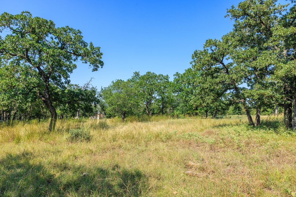 Lot 9 Mystic Oaks Trail # 9