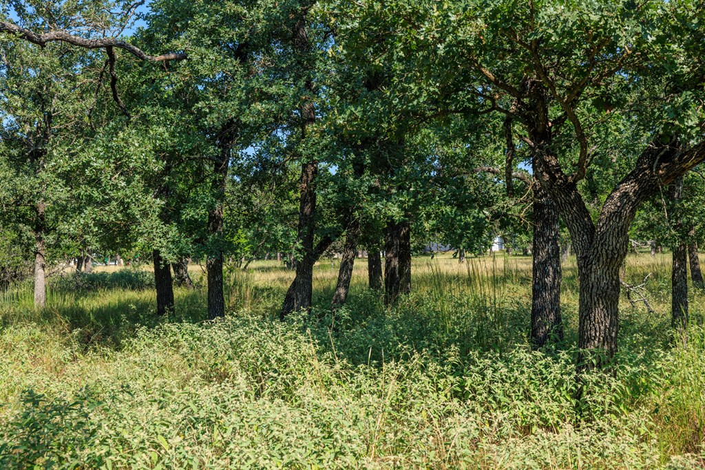 Lot 9 Mystic Oaks Trail # 9