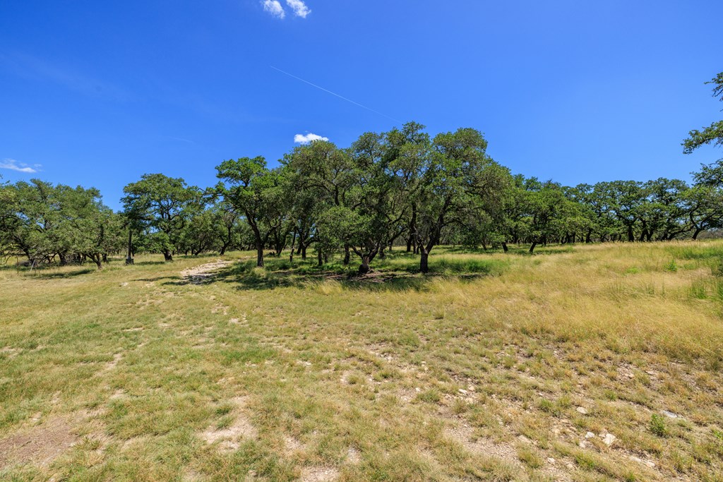 429 Spanish Oak Trail