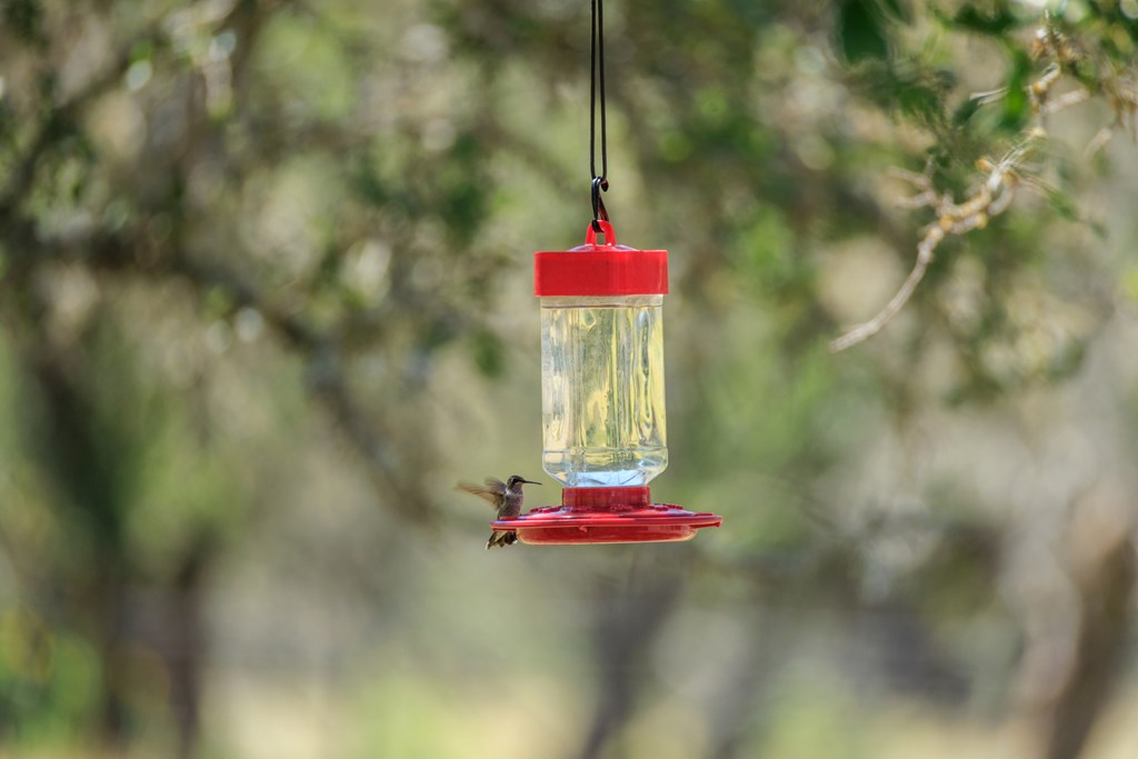 429 Spanish Oak Trail