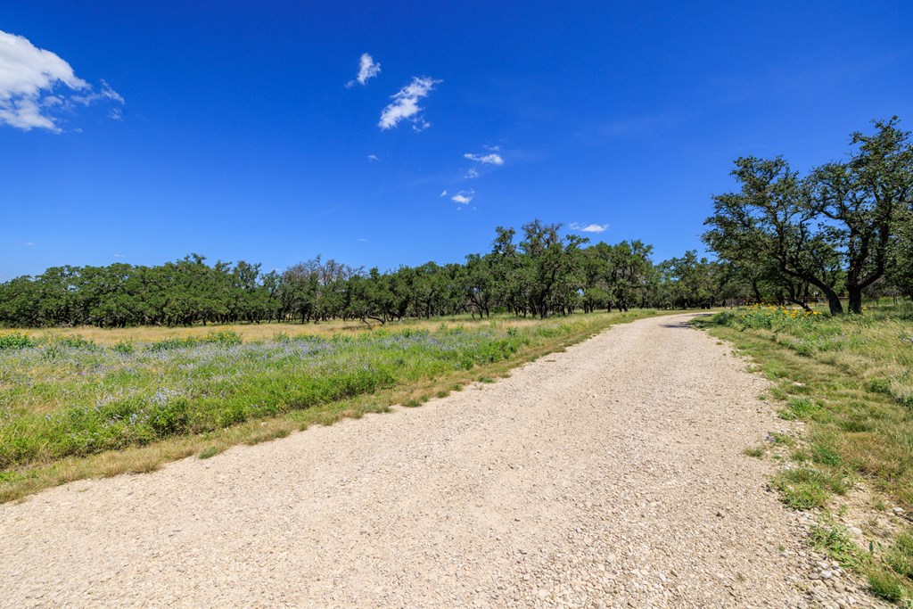 429 Spanish Oak Trail