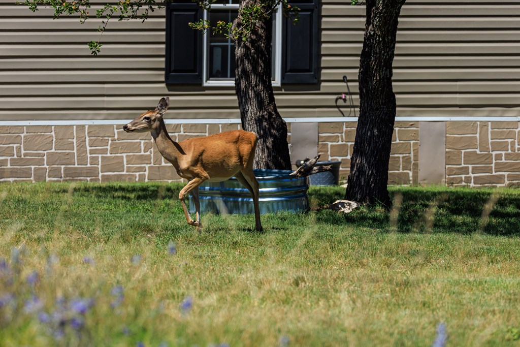 429 Spanish Oak Trail