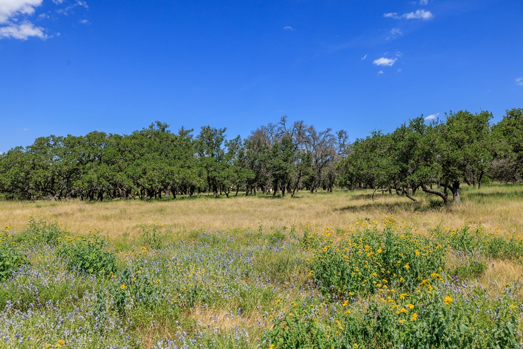 429 Spanish Oak Trail