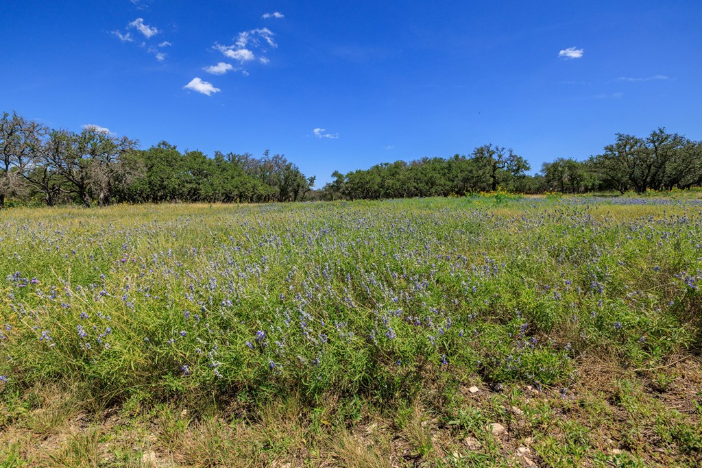 429 Spanish Oak Trail