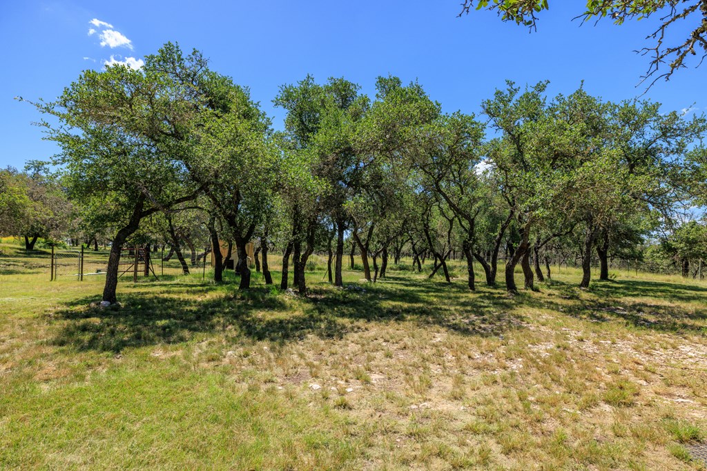 429 Spanish Oak Trail