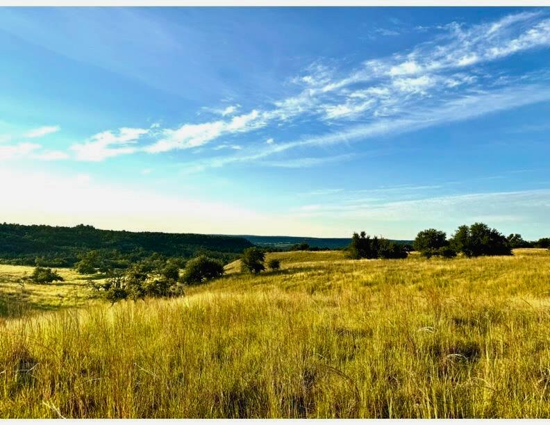 00 Ranch Rd 965