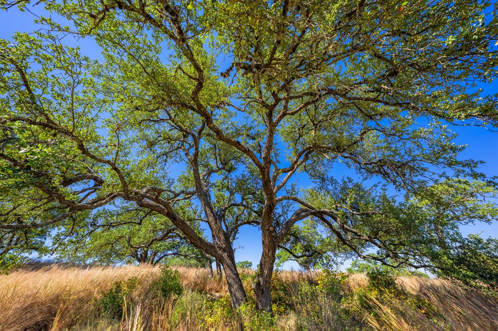 1495 Walnut Springs Rd # 68