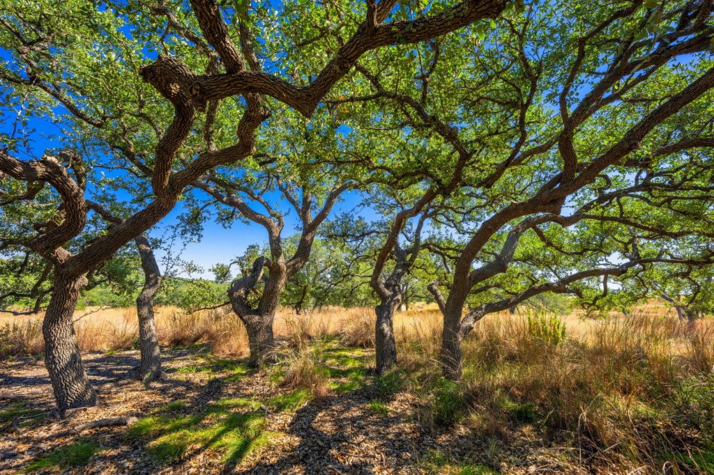 1495 Walnut Springs Rd # 68