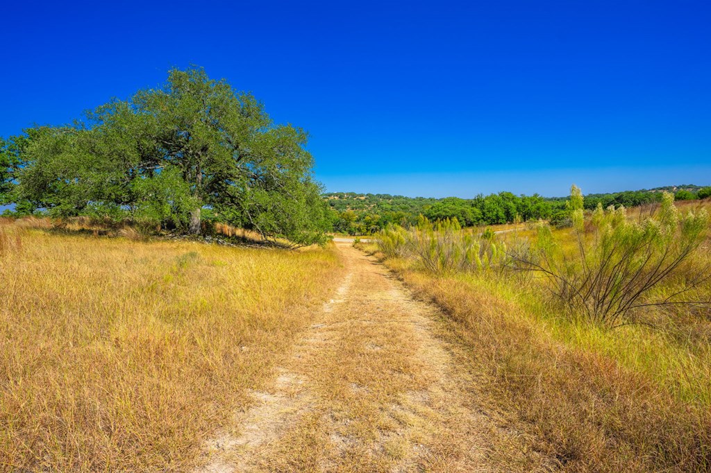 1495 Walnut Springs Rd # 68