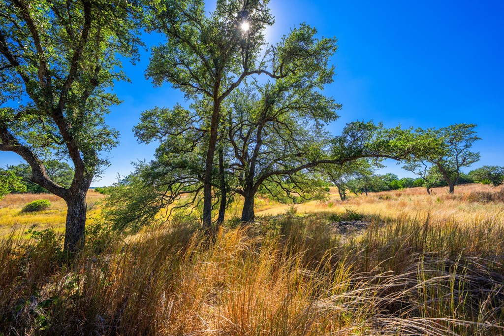 1495 Walnut Springs Rd # 68