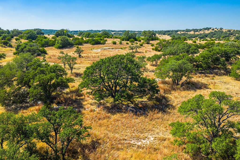 1495 Walnut Springs Rd # 68