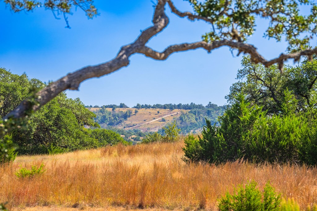 1495 Walnut Springs Rd # 68