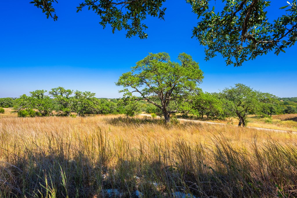 1495 Walnut Springs Rd # 68