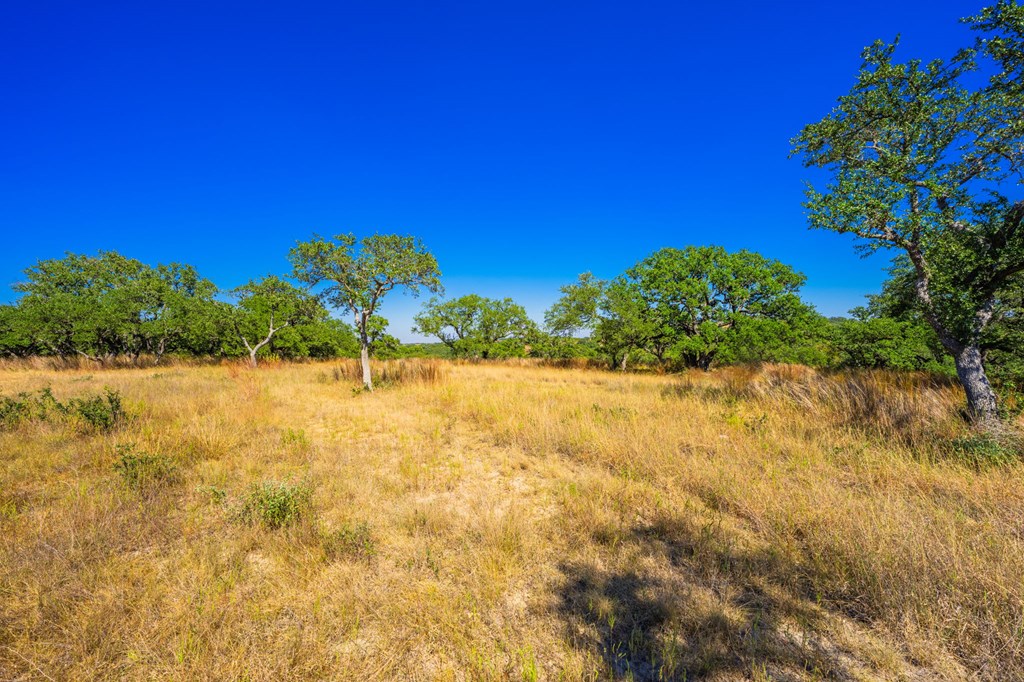 1495 Walnut Springs Rd # 68