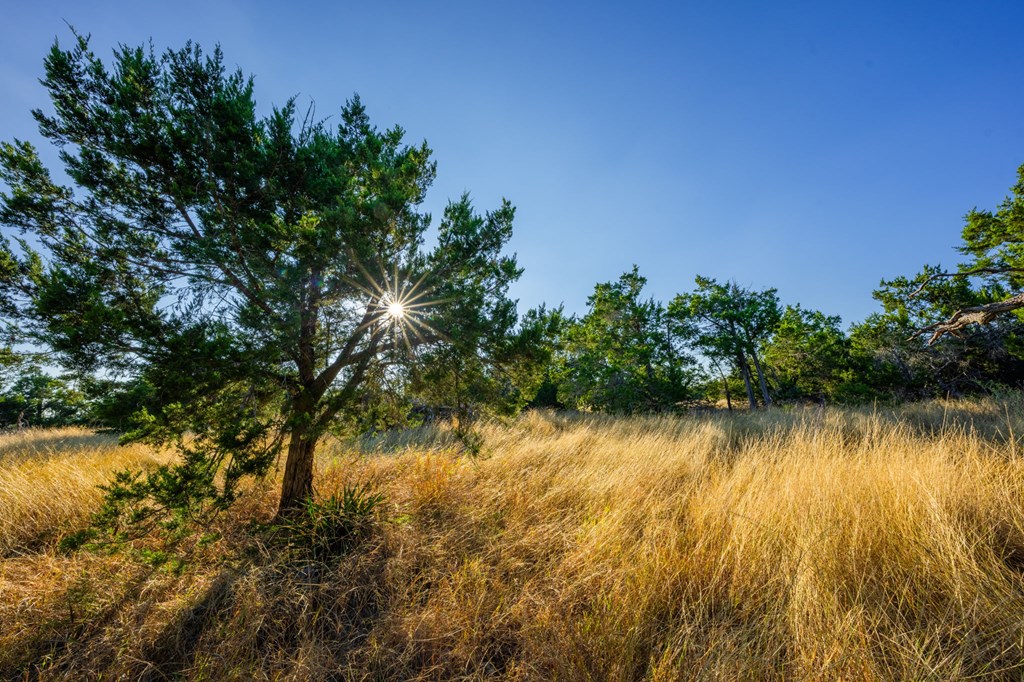 716 Reeh Weinheimer Rd