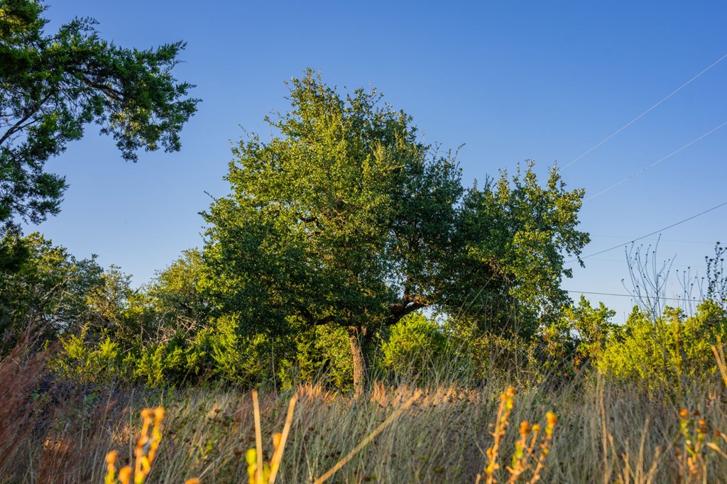 716 Reeh Weinheimer Rd