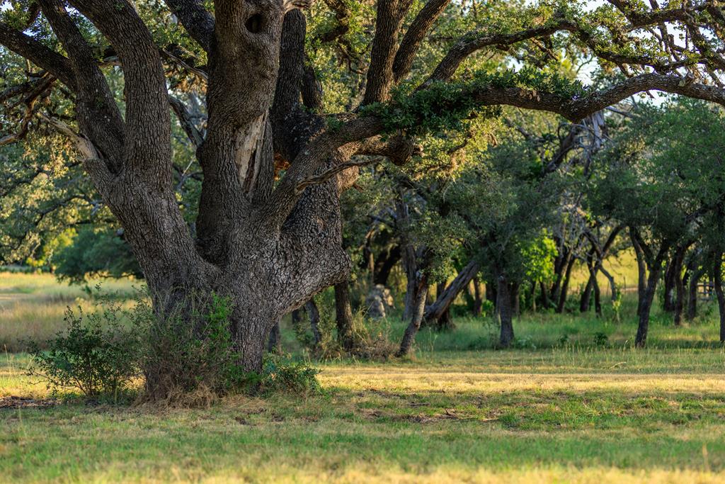 Tract 2 Wallendorf-Bohnert Rd # 2