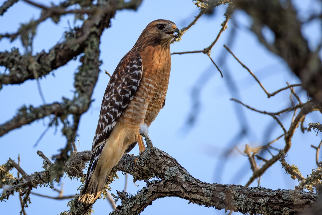 Tract 1 Wallendorf-Bohnert Rd # 1