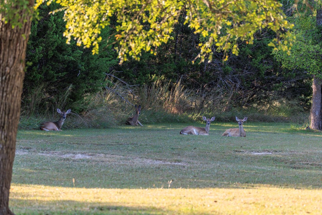 Tract 3 Wallendorf-Bohnert Rd # 3